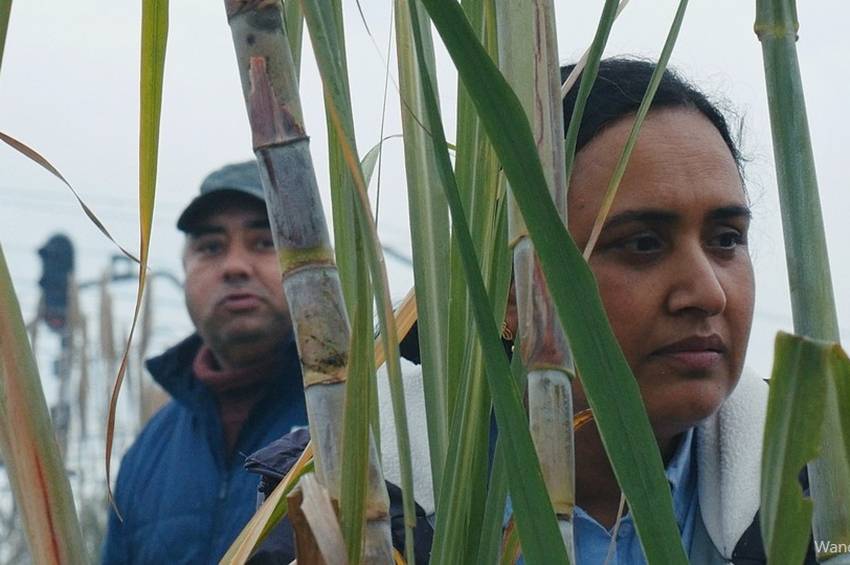 Leer post Vallbona en tránsito, entre lo rural y lo urbano
